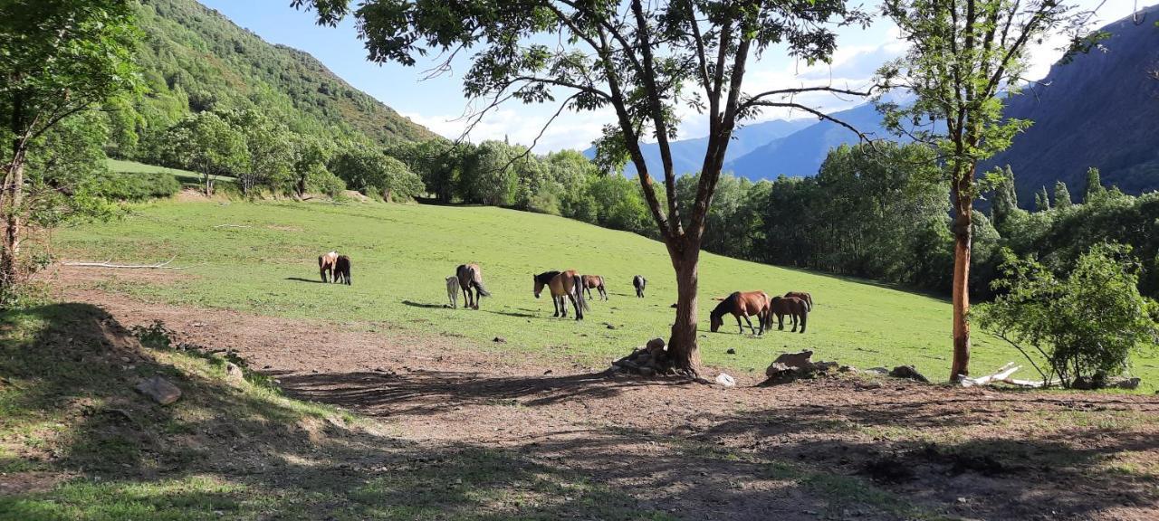 Casa Tonya Apartman Unarre Kültér fotó